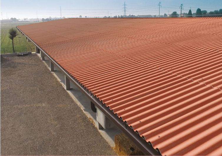 Profilo 101 e Profilo 98 Sottocoppo