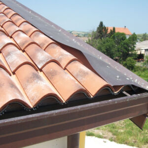 profilo101-immagine-x